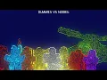 Download Lagu Dummies Vs Noobs - Dynamic (Wave boss themes)