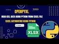 Read Specific Cell Data Tutorial - 1 Excel Automation openpyxl Excel Python