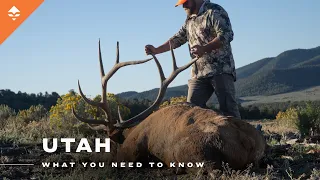 Is Utah Still Worth Applying For Full 2026 Application Breakdown