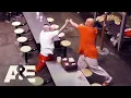 Download Lagu 60 Days In: Top 5 Moments From Clark County Jail | A\u0026E