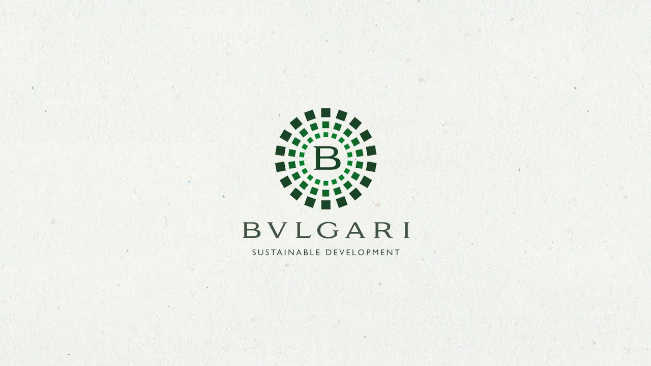 Video Webinar part 2