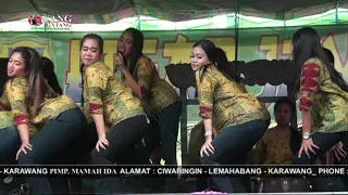 Download Terlalu || Goyang Jaipongan || Mamah Ida Group - Karawang || Terbaru 2019 MP3