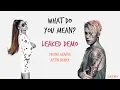 What do you mean - Ariana Grande [Unreleased DEMO] (Lyrics in description)