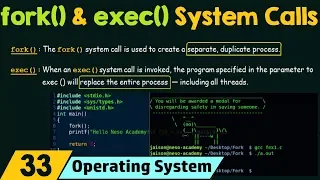 fork and exec System Calls