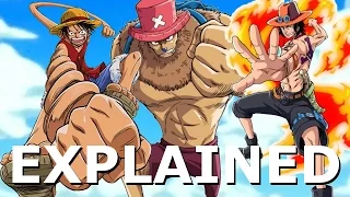 Three Devil Fruit Types Explained Logia Zoan and Paramecia
