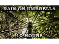 Download Lagu Relaxing Rain Sound Under Umbrella - 10 Hours Video