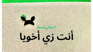 ٣ معاني لجملة أنت زي أخويا دندنها