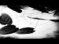 Apey - Black Lungs, Circles (Feathers,Black Flowers 2010)