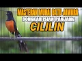 Download Lagu TEMBAKAN MURAI BATU BONGKAR ISIAN CILILIN COCOK BUAT MASTERAN MURAI BATU ANDA