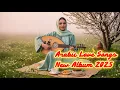 Lagu Melodies of Devotion: 2025 Arabic Album – From My Soul to My Beloved Habibi