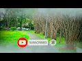Download Lagu Selalu sabar ( lirik ) _ shiffah Harun