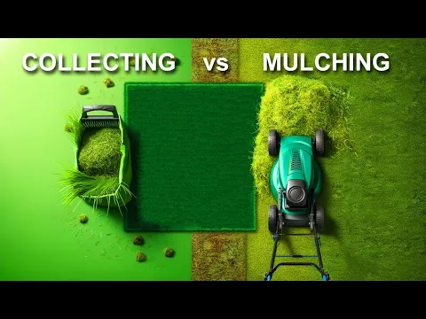 Download MP3 How Mulching Mowers Work Compared to Collecting Lawnmowers (Unique Explained in detail!)