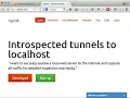 Webhooks Django and ngrok