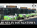 Buses in Youngstown