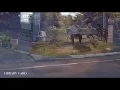 Perfect aesthetic Lofi / Chillhop : Sleepy Fish - Like the sky, or something else FULL ALBUM