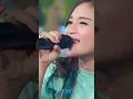 Download Lagu Wis Rungkad entek\