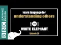 The White Elephant 28 - Empathy-related phrases