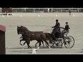 Lagu József DOBROVITZ Jr. (HUN) FEI CH-M-AH2, Le Pin au Haras (France), dressage, 29.09.2023