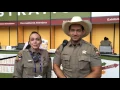 Travis County Sheriff s Office is Now Hiring