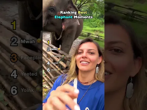 Ranking Best Elephant Moments