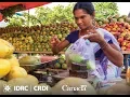 Reducing post-harvest losses through nanotechnology