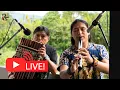 Download Lagu Raimy Salazar \u0026 Luis Salazar In Live Music - The Last Day