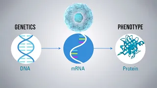 Tumor Immunoprofiling and the Tumor Microenvironment (Immunotherapy Documentary Part II)