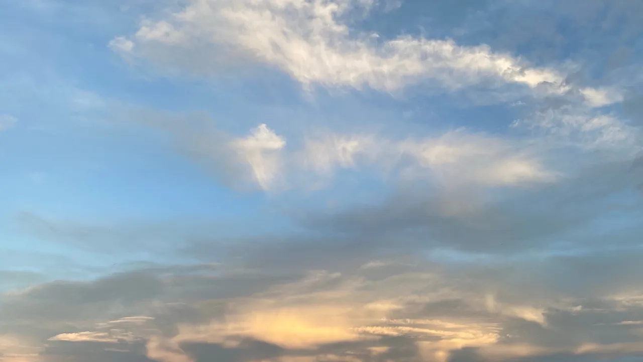 我来帮石头记弥补知识的空白:第一东疆哈密吐鲁番维族的人类学特征和南疆喀什的白种人~~第二纠正您片面观点五十五个少数民族也是本土世居民族~~第三蚩尤不是汉人,他是苗族的祖先,苗族才是货真价实的原始中原人