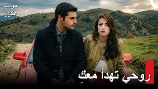 هل تشعر بتحسن؟ - موسم الكرز