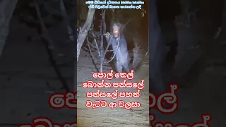 Https Www Facebook Com Share V 1bP6Diqv6c Tiktok Fb Teligram Whatsappstatus Whatsapp Imo 