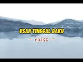 Download Lagu USAH TINGGAL DAKU KEKASIH - EXIST ( LIRIK )