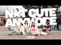 Lagu [KPOP IN PUBLIC AMSTERDAM/NETHERLANDS][ONE TAKE] ILLIT(아일릿) - NOT CUTE ANYMORE [DANCE COVER]