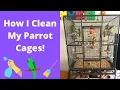 How I Clean My Parrot Cages BirdNerdSophie AD