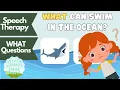 How to Answer WHAT Questions Speech Therapy Speech Therapy Made Simple WH Questions