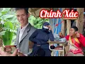 Download Lagu A Cường Bố Đẻ Cháu Hoa Khẳng Định U44 Tán Em Phong Đúng Là Người Yêu Cũ