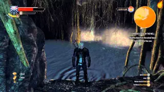 The Witcher 3 Contract Devil by the Well - Quest Walkthrough