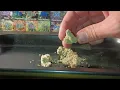 Garlic Fusion strain review