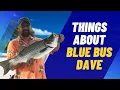 Blue Bus Dave 5 Things About Blue Bus Dave