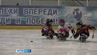 В Омске обсудят развитие следж-хоккея