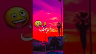 شاشة سوداء اغاني راي جزائري تيك توك وحالات واتساب الجزائر تونس المغربdz Vedio Tiktok Rai Alger 