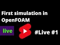 How to run your first simulation in OpenFOAM - Part 1