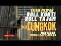 Download Lagu CUCAK CUNGKO GACOR !!! TEMBAKAN KUNTI PANJANG !! MEWAH KONSLET !! #cucakcungkokgacor #masteranjernih