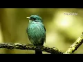 Download Lagu মুছে যাওয়া দিনগুলি আমায় যে পিছু ডাকে -