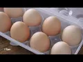 Simple Healthy Potato Recipe Made With Eggs! Potato Egg Pancake