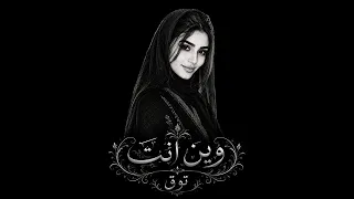 وين انت قبل اللي مضى من سنيني توق دندنها