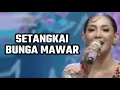 Download Lagu \
