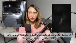 لو سمعت الكلاب بتعوي بالليل قدام البيت إياك تفتح الباب ايااك الكلاب بتكون بتحذرنا من شئ ماا 
