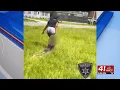 Deputies Social media leads to Macon woman s arrest on child cruelty charges