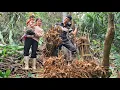 Completing a rustic stone kitchen | Going to the forest to dig up roots to increase income