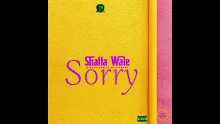 shatta wale sorry audio slide 